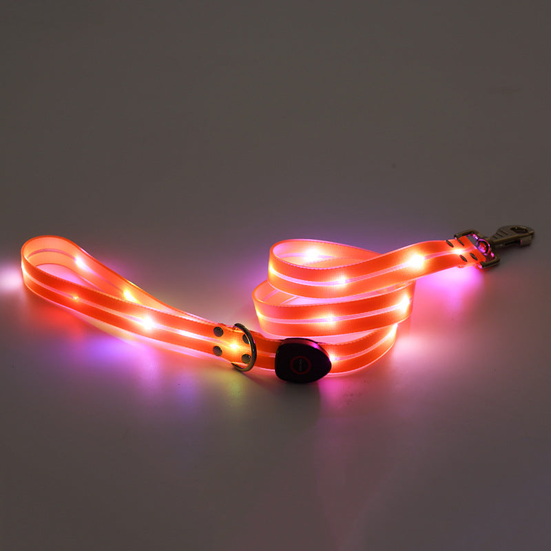Collier lumineux LED rechargeable pour animaux de compagnie avec corde de remorquage en nylon