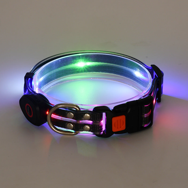 Collier lumineux LED rechargeable pour animaux de compagnie avec corde de remorquage en nylon