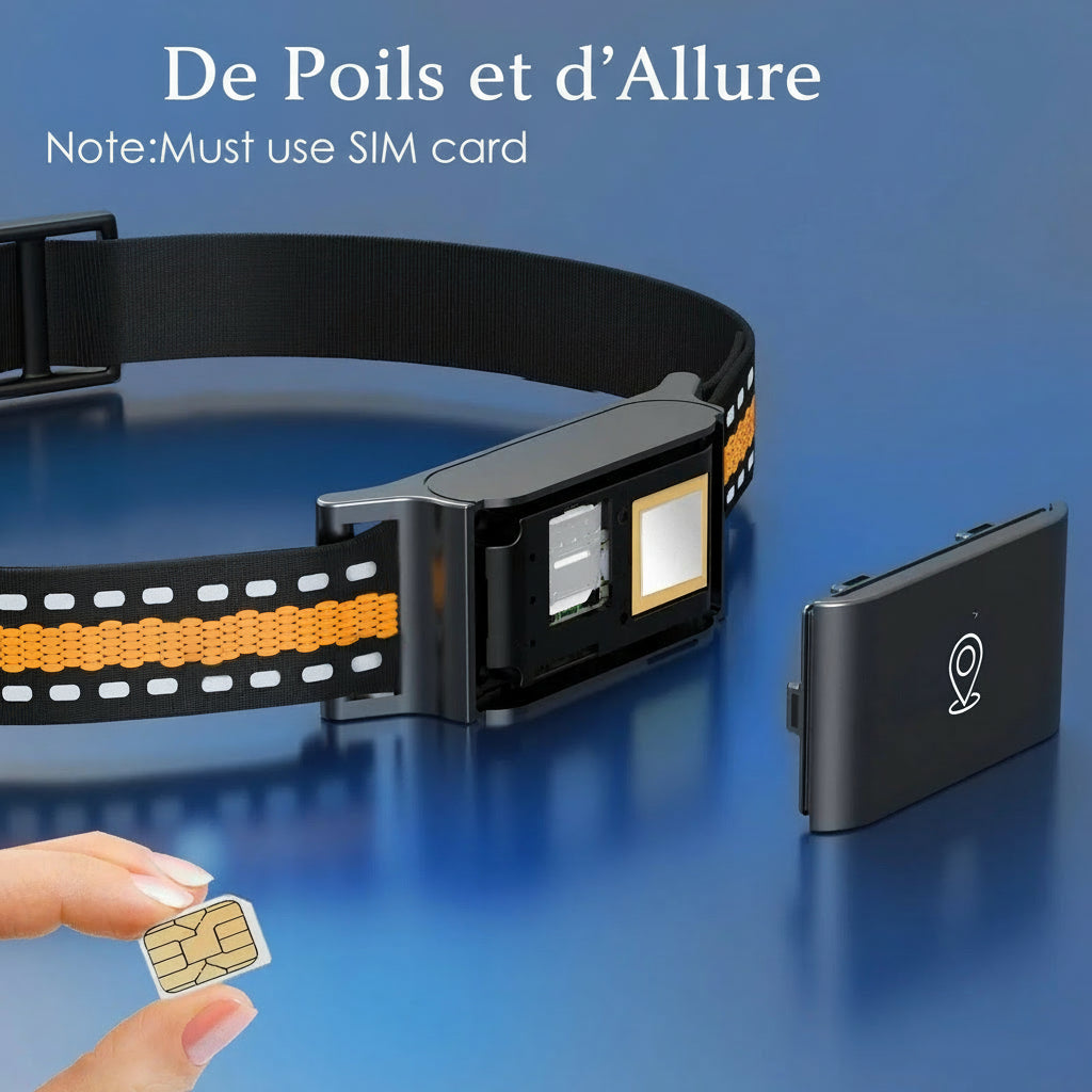Collier traceur GPS 4G pour chien avec suivi en temps réel, carte gratuite