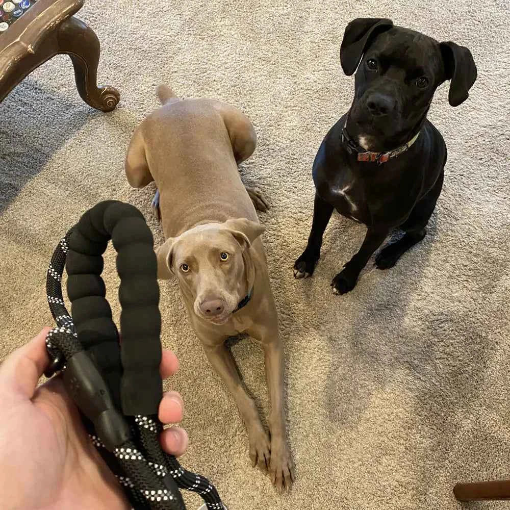 Laisse pour chien en corde de 3/5/10/15m avec poignée rembourrée