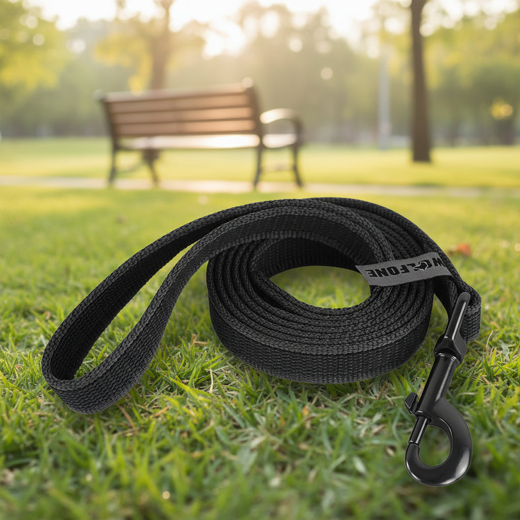 Laisse pour chien moyen/petit/long de 1,5 m, 5 m, 10 m ou 15 m.