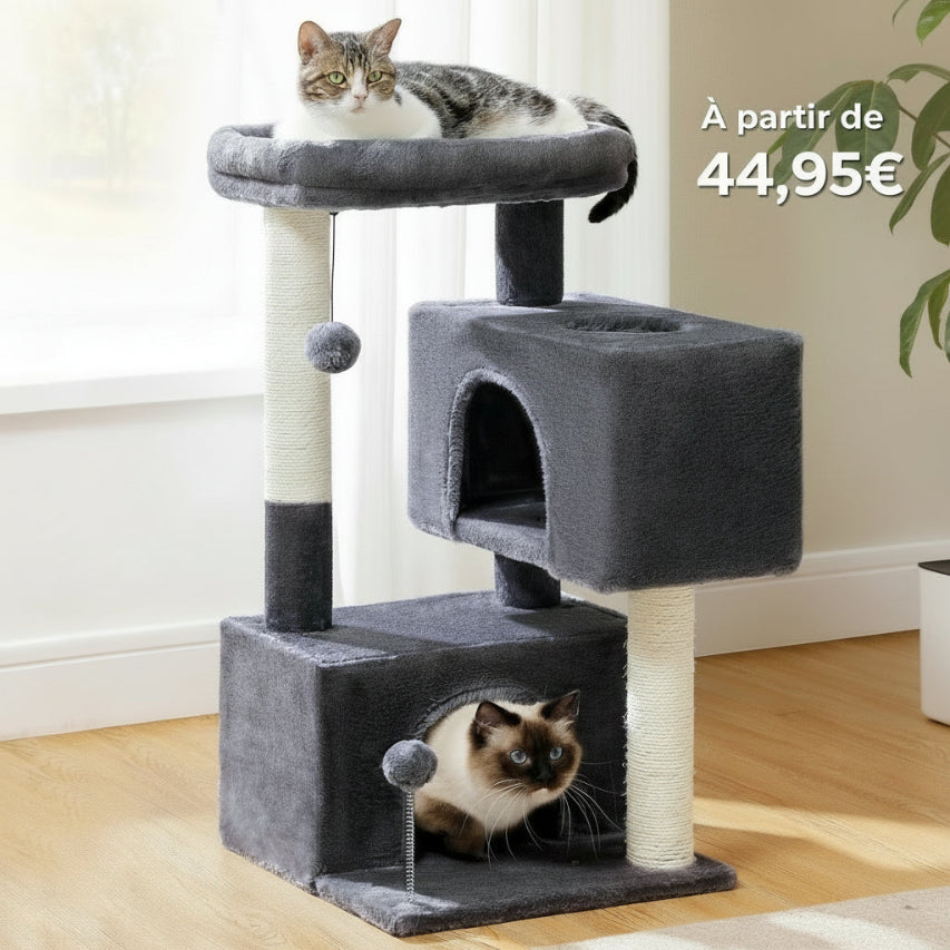 Arbre à chat à plusieurs niveaux
