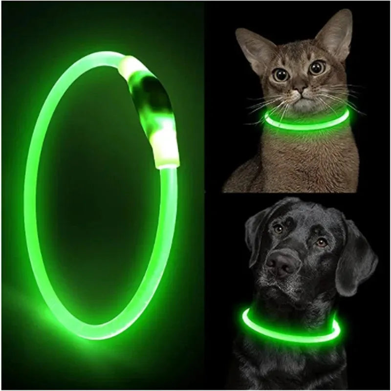 Collier LED chien – Haute visibilité, 3 modes, recharge USB