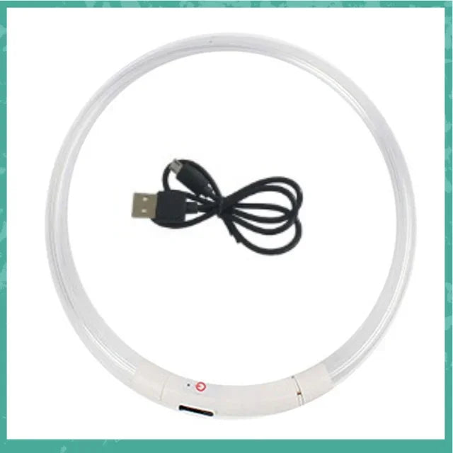 Collier LED chien – Haute visibilité, 3 modes, recharge USB