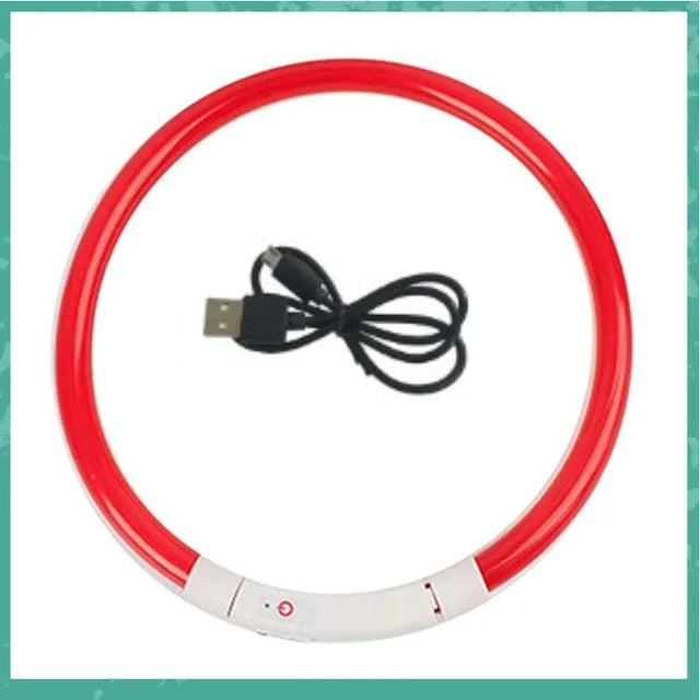 Collier LED chien – Haute visibilité, 3 modes, recharge USB