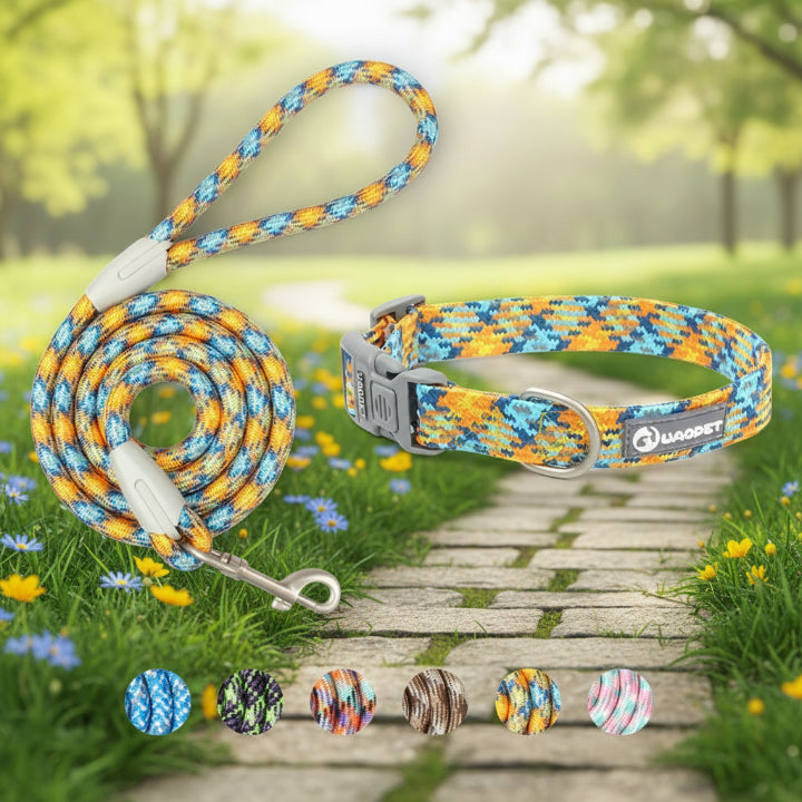 Collier et laisse multicolores pour chien – jaune et bleu, accessoires confortables et tendance pour animaux de compagnie