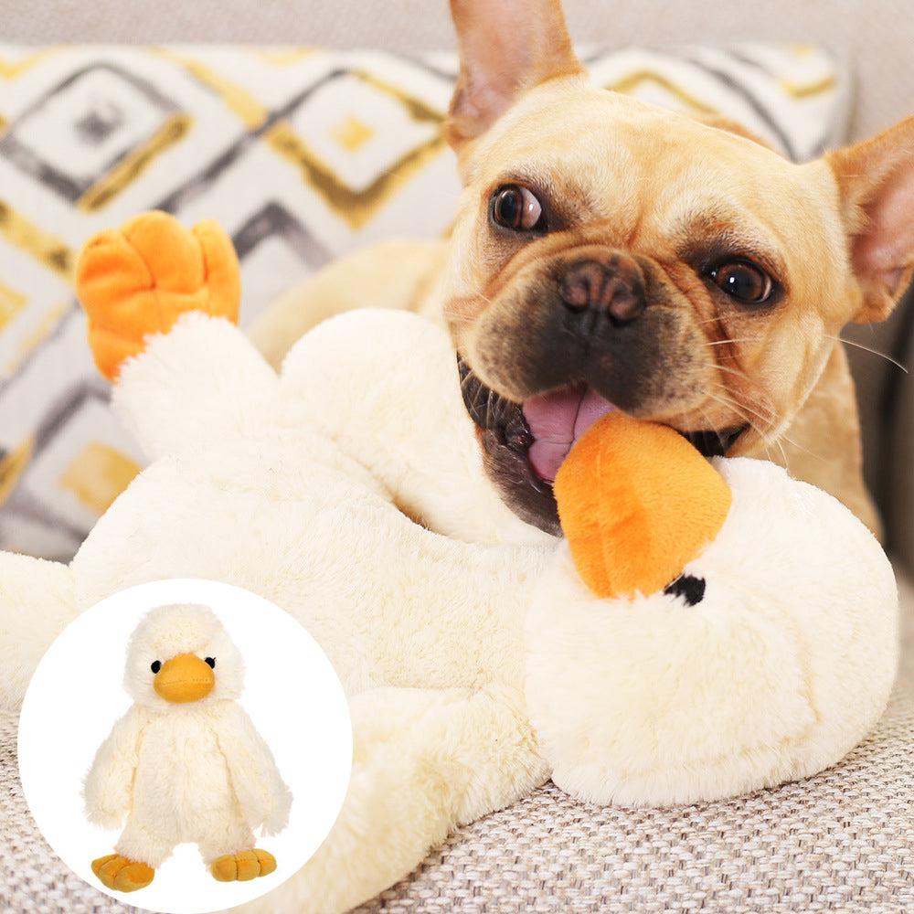 Jouets pour chien, canard luxe