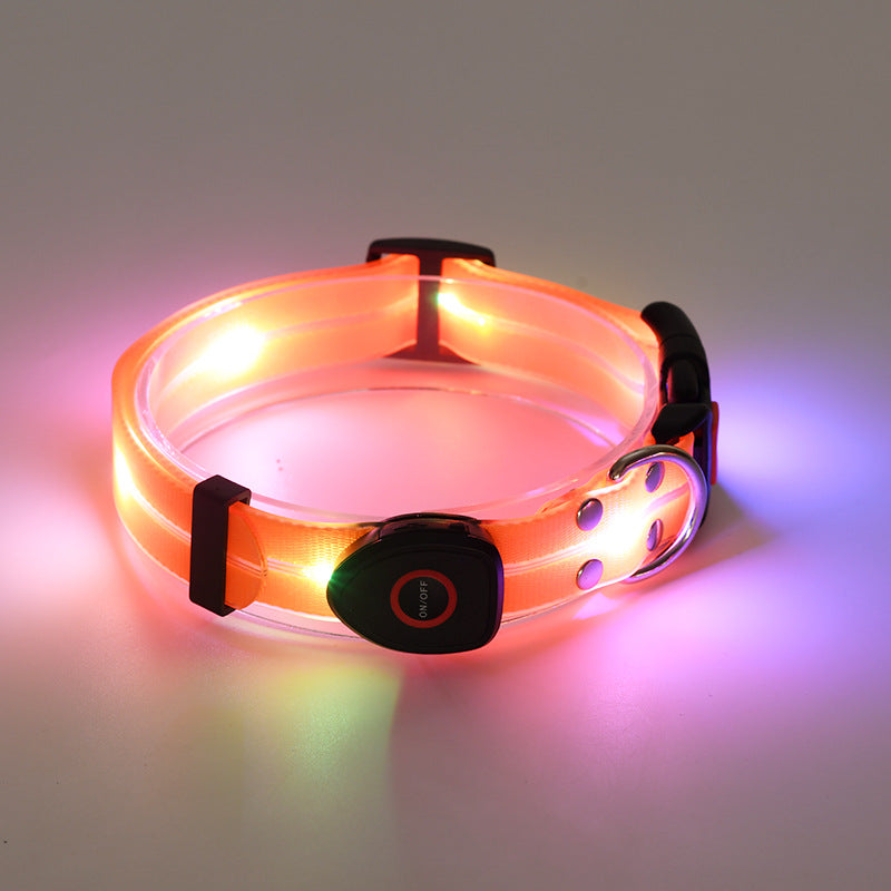 Collier lumineux LED rechargeable pour animaux de compagnie avec corde de remorquage en nylon