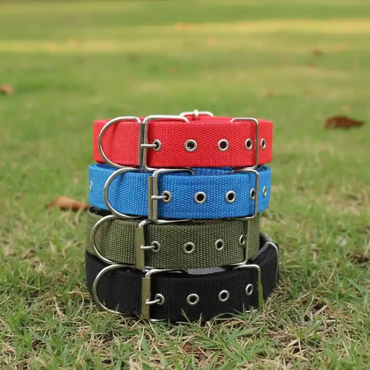 Collier et laisse multicolores pour chien – bleu-rouge-vert-noir, accessoires confortables et tendance pour animaux de compagnie