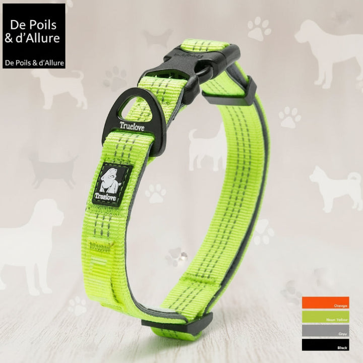 Collier multicolore ajustable pour chien – design moderne et confortable, accessoire tendance pour animaux de compagnie