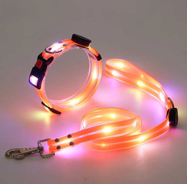 Collier lumineux LED rechargeable pour animaux de compagnie avec corde de remorquage en nylon