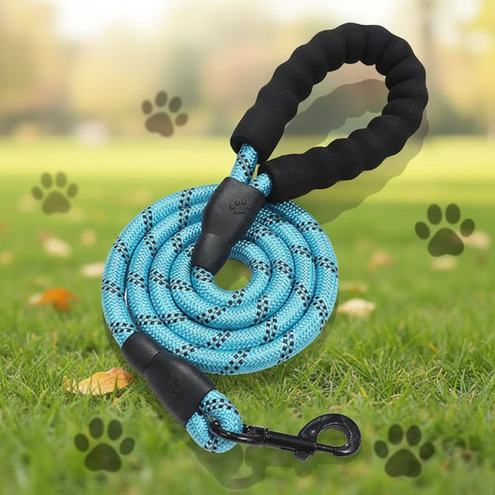 Laisse bleu et multicolore ajustable pour chien – design moderne et confortable, parfaite pour animaux actifs