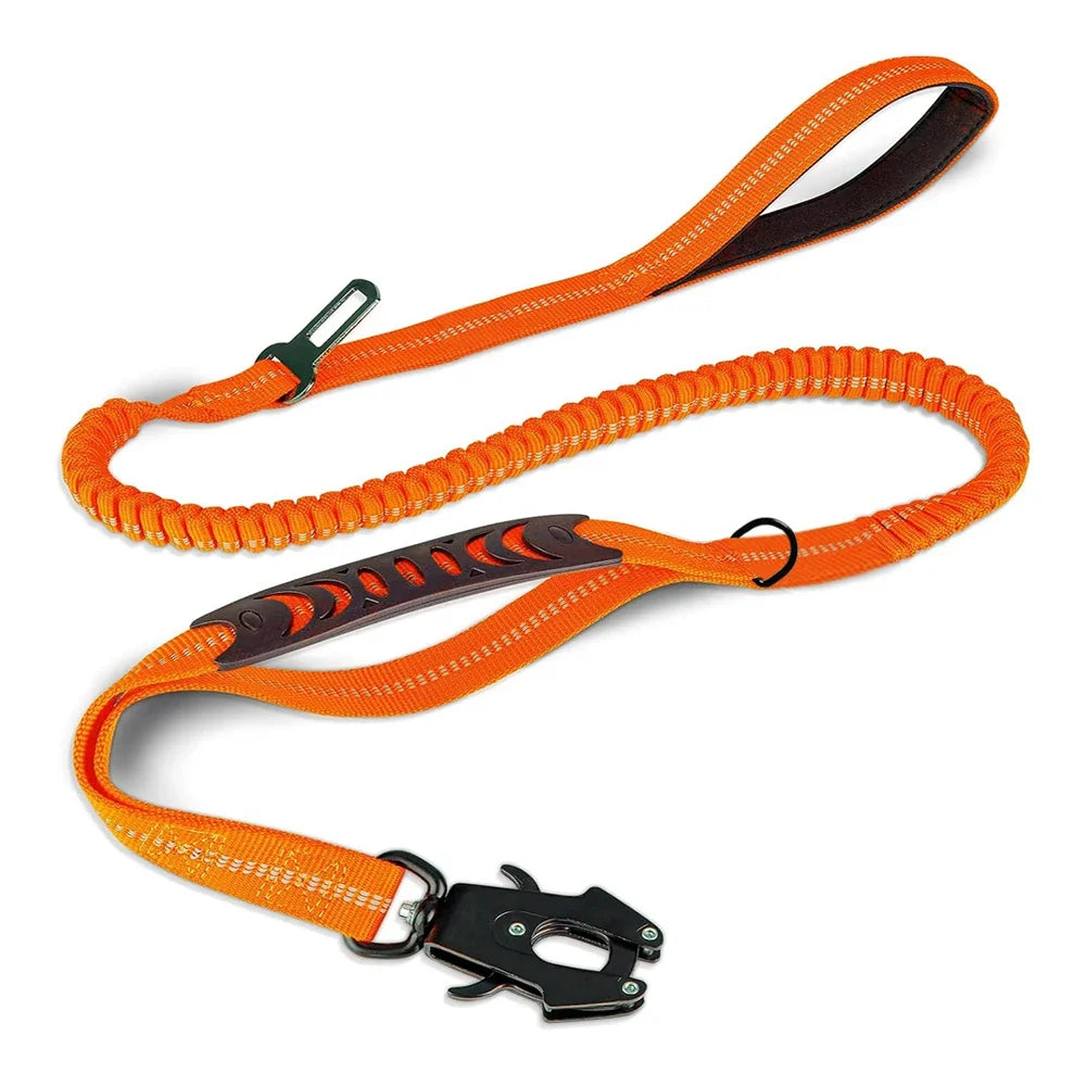 Laisse et collier orange et vert multicolore pour chien – design moderne et tendance, accessoire confortable, sécurité maximale