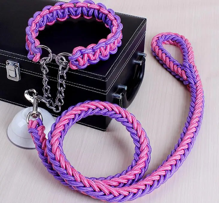 Laisse et collier rose et mauve multicolore pour chien – design moderne et tendance, accessoire confortable