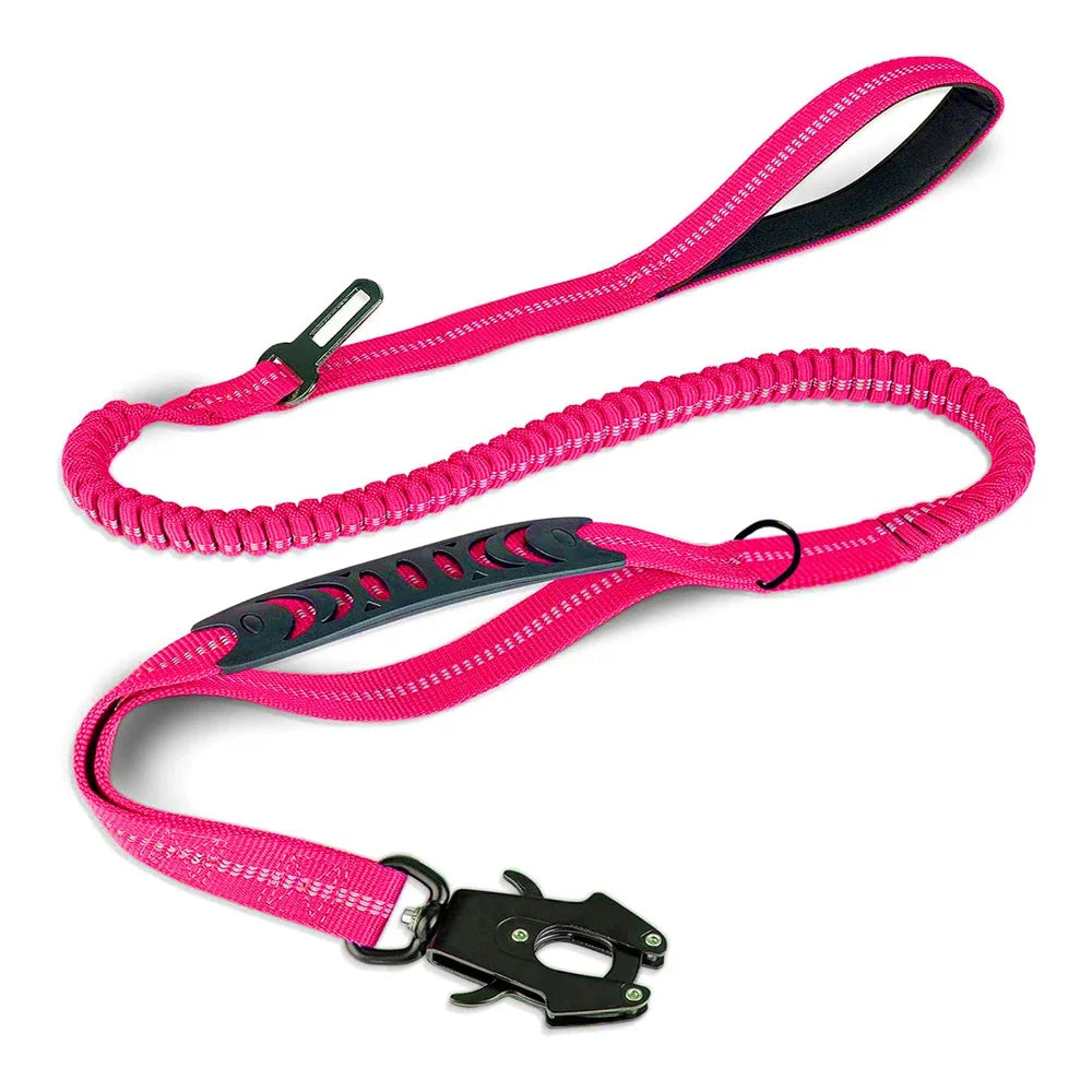 Laisse et collier rose multicolore pour chien – design moderne et tendance, accessoire confortable