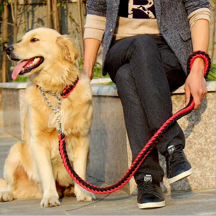 Laisse et collier rouge et noir multicolore pour chien – design moderne et tendance, accessoire confortable