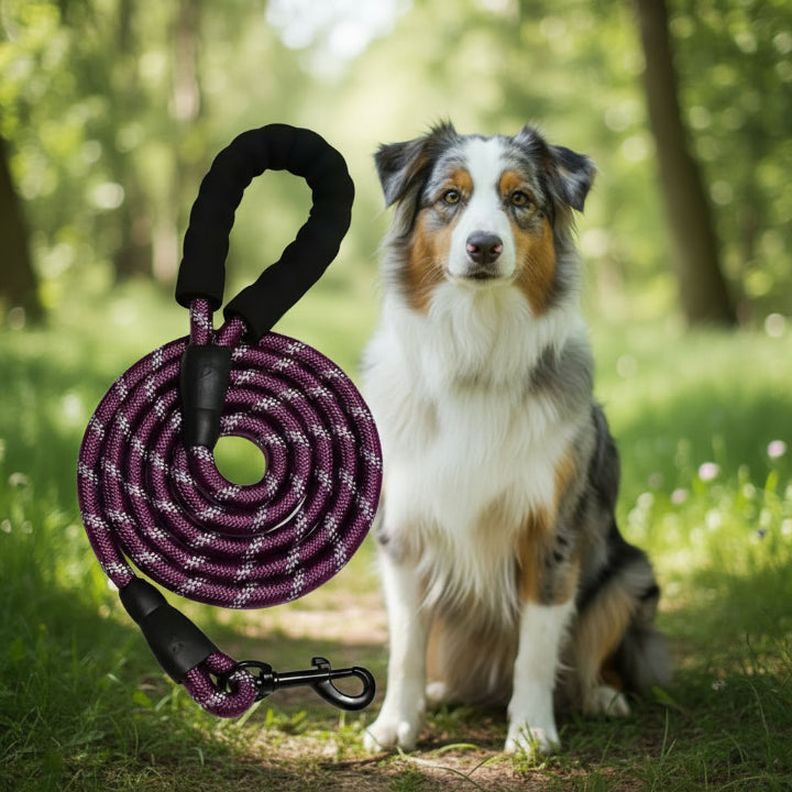 Laisse multicolore ajustable pour chien – design moderne et confortable, parfaite pour animaux actifs
