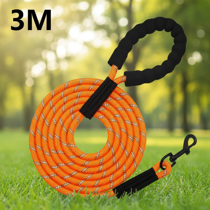 Laisse orange et multicolore ajustable pour chien – design moderne et confortable, parfaite pour animaux actifs