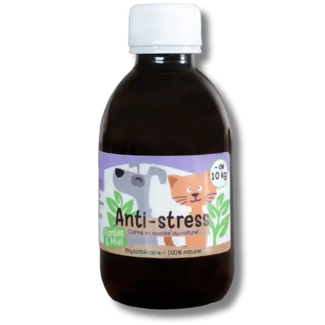 Sirop naturel anti-stress pour chiens et chats – favorise détente et bien-être