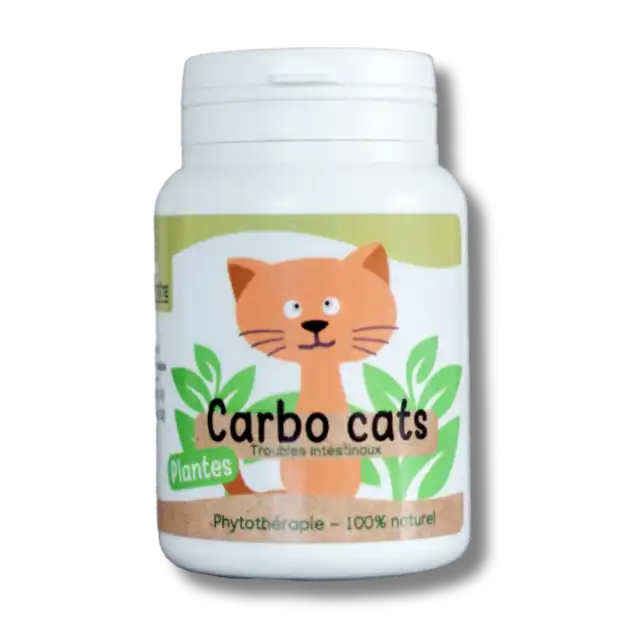 Complément naturel en gélules pour chat – soutien digestif et confort intestinal