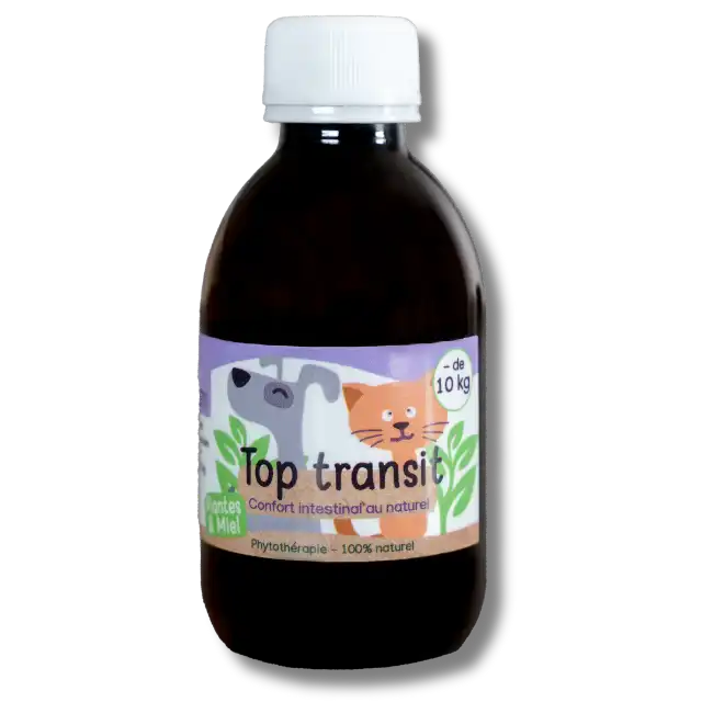 Complément naturel en gélules pour chien – soutien digestif et confort intestinal-Complément naturel en gélules pour chat – soutien digestif et confort intestinal