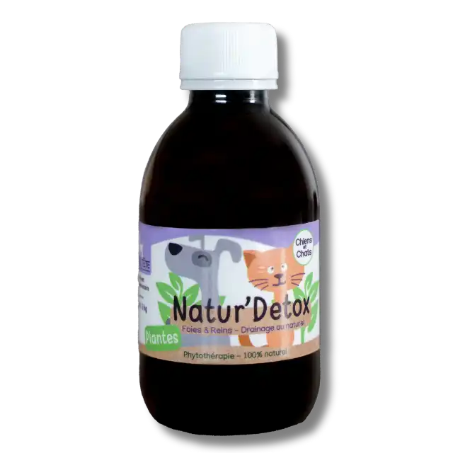 Complément naturel pour chiens et chats – confort digestif et bien-être, à base de plantes et de miel