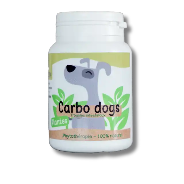 Complément naturel en gélules pour chien – soutien digestif et confort intestinal - Complément naturel en gélules pour chat – soutien digestif et confort intestinal